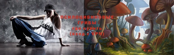 стафф Алзамай