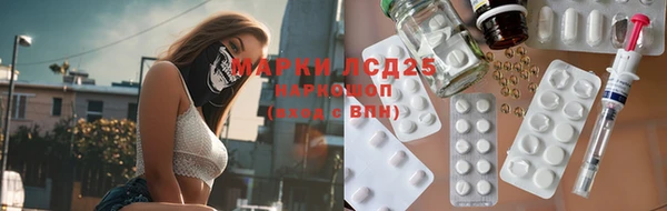 ПСИЛОЦИБИНОВЫЕ ГРИБЫ Алексин