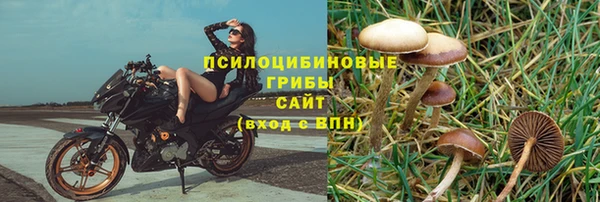 дурь Абинск