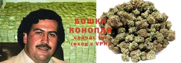 ПСИЛОЦИБИНОВЫЕ ГРИБЫ Алексин